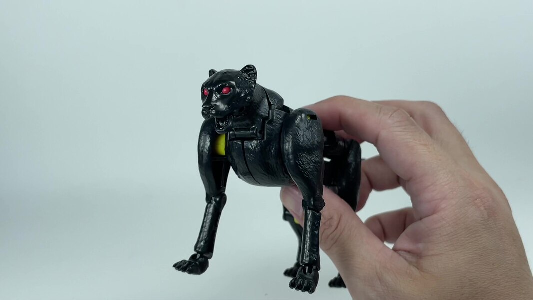 Transformers WFC Kingdom Shadow Panther  (17 of 18)